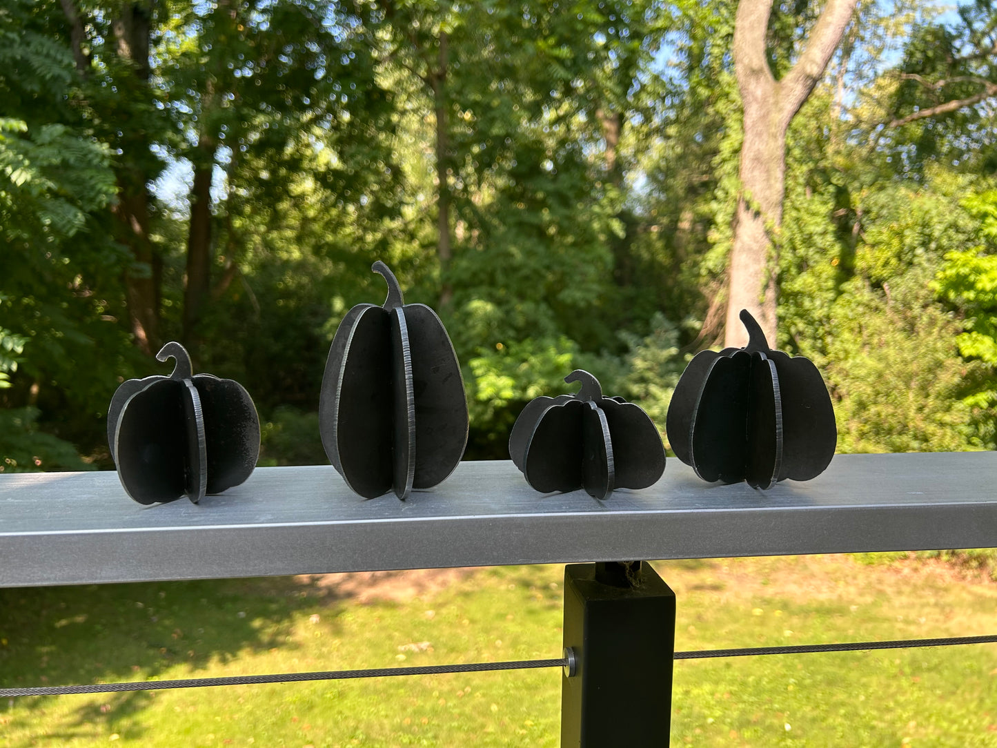 Steel Pumpkin Patch